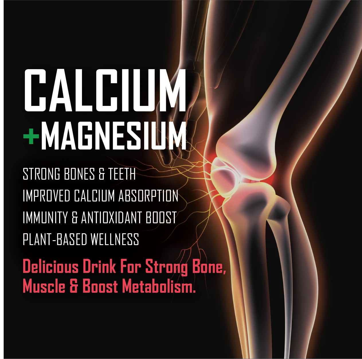 Pack of 6 Calcium +Magnesium