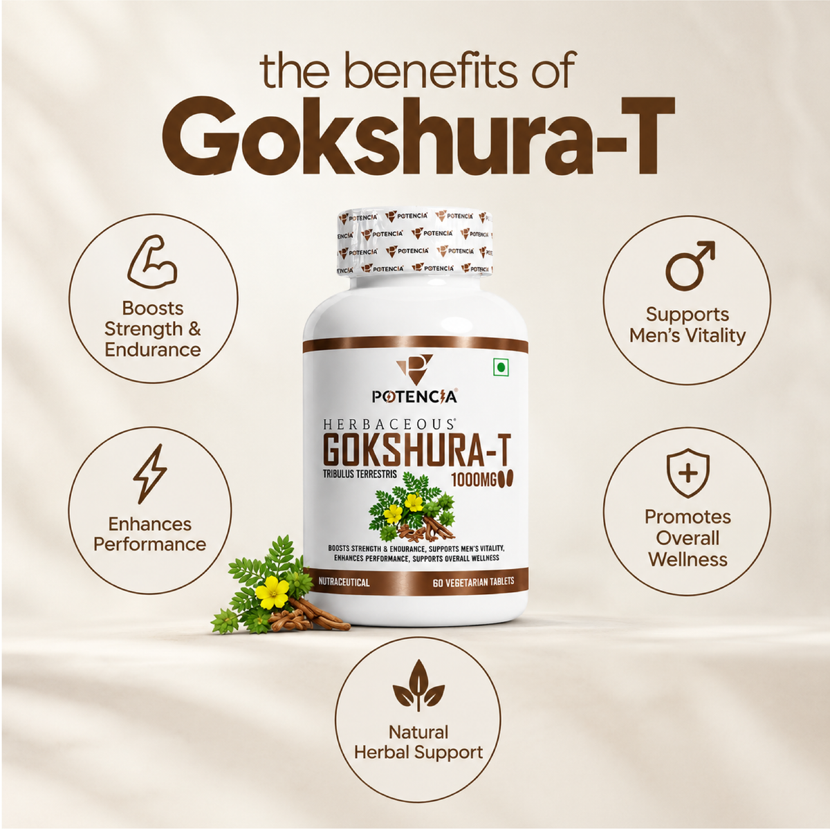 Potencia Herbaceous Gokshura-T