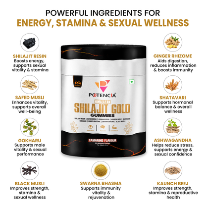Himalayan Shilajit Gold Gummies