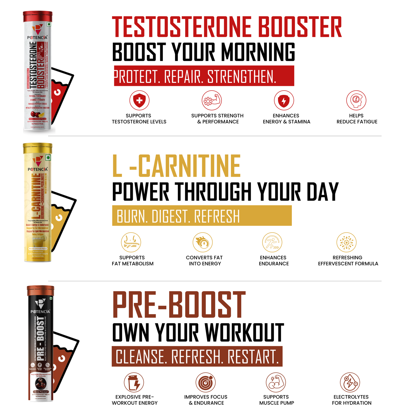 Potencia Alpha Power & Vitality kit