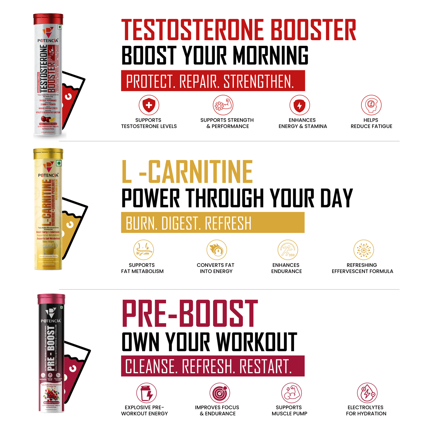 Potencia Alpha Power & Vitality kit