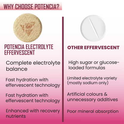 Pack of 6 Potencia Electrolyte Hydration Effervescent Tablets | Rose Lemonade | Glutamine, Moringa, Astaxanthin, Biotin & Himalayan Pink Salt | 90 Tabs/Bottle